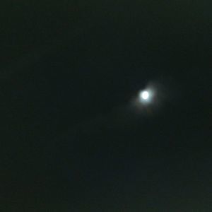 Meet your Posher, Christy